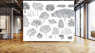 Minimal style cad tree line, Side view, set of graphics trees elements outline symbol for architecture and landscape design drawing. Vector illustration in stroke fill in white. Tropical Wall mural