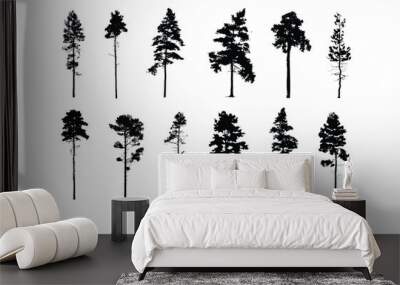 Pine tree silhouette, Minimal style, Side view, set of graphics trees elements outline symbol for architecture and landscape design. Vector illustration, Pinus Sylvestris Wall mural