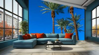 Grove of tall palm trees with a clear blue sky Wall mural