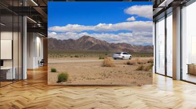 Speeding Car on a Desert Highway Wall mural