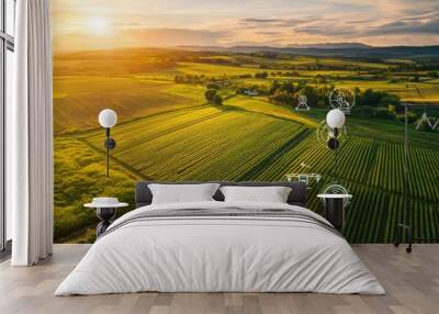 Aerial View of Green Fields at Sunset Wall mural