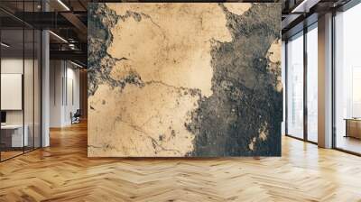 Cracked Earth Texture Wall mural