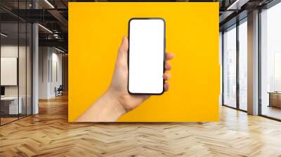 Person holding mobile phone with blank white screen on a yellow background, copy space photo Wall mural