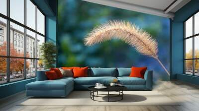 Grass end against a dark background. Beautiful gentle bar on green background Wall mural