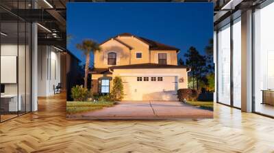  A typical Florida house  Wall mural