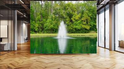 Beautiful blue pond in a florida community	 Wall mural