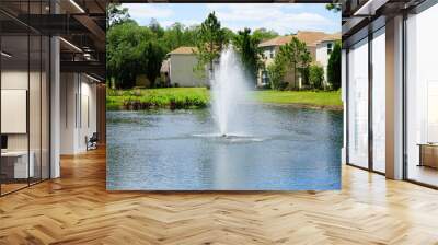 Beautiful blue pond in a florida community	 Wall mural