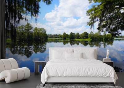 The landscape of Hillsborough river at Tampa, Florida	 Wall mural