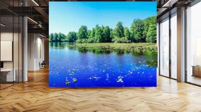 The summer landscape of Hillsborough river at Tampa, Florida	
 Wall mural