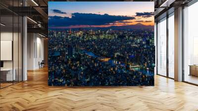 Tokyo city view from high tower Wall mural