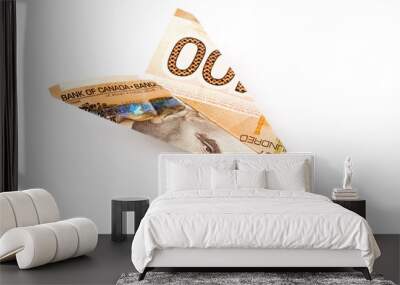 canadian dollar paper airplane, business concept Wall mural