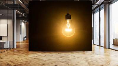 light bulb on dark background Wall mural