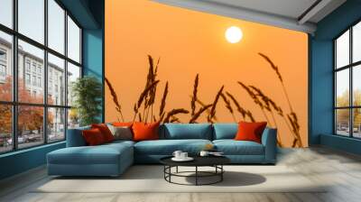 sun and weeds Wall mural