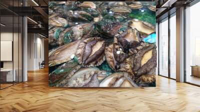 Fresh big abalone Wall mural