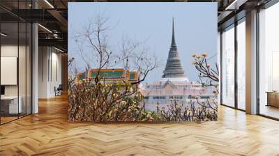 A View of Phra Sudthase Ra Chedi at Phra Nakhon Khiri Historical Park in Petchaburi, Thailand Wall mural