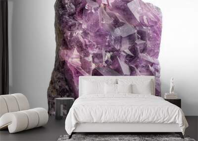 Polished Lepidolite Pendant Isolated On Transparent Background Wall mural