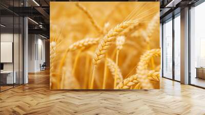 Wheat Texture Background Wall mural