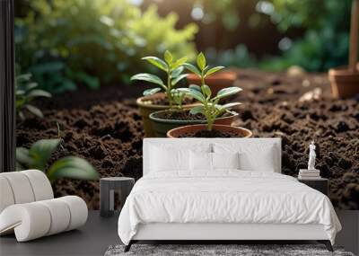 Concept of plants growing in the garden, eco concept Wall mural