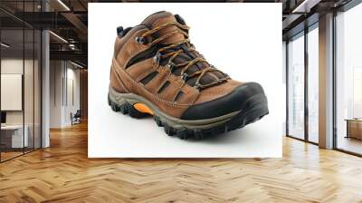 Brown Hiking Boots isolated white background Wall mural