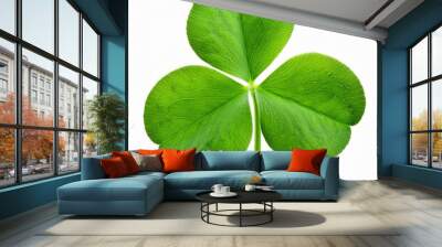 3 leaf clover isolated on white background, full depth of field Wall mural