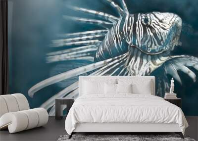 Illustration made with a digital tablet scorpion fish dangerous, Wall mural