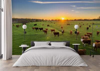 Cows at sunset in La Pampa, Argentina. The sun sets on the horizon as cattle graze in the field. Wall mural