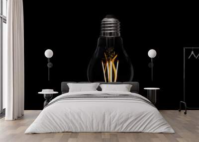 Light bulb on black background Wall mural