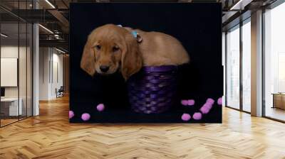 Puppy in a Basket take 2 Wall mural