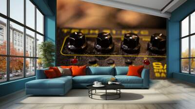 Closeup view of an instrumental music equipment Tech 21 SansAmp Bass driver DI. Wall mural