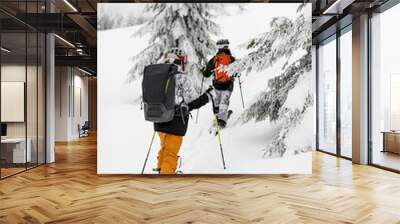 back view of two guys skiers with backpacks walking on ski. Ski touring. Wall mural