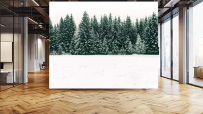 Spruce tree forest covered by fresh snow during Winter Christmas time. This winter scene is almost duotone due to the contrast between the frosty spruce trees, white snow foreground and white sky. Wall mural