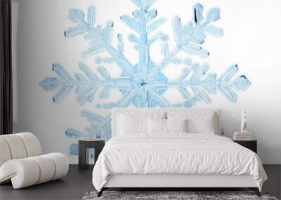 snowflake on transparent background Wall mural