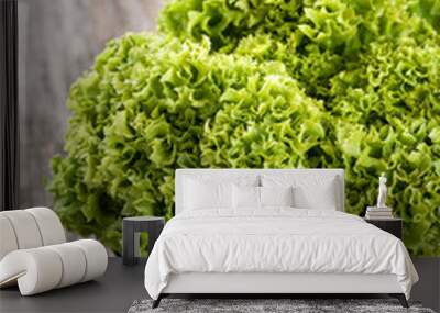 Green fresh lettuce Wall mural