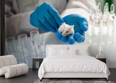 Scientist holding white laboratory mouse in hands Wall mural