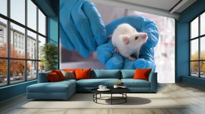 testing drugs and vaccine on mice Wall mural