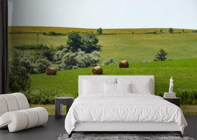 A group of hay rolls on a green meadow. Wall mural