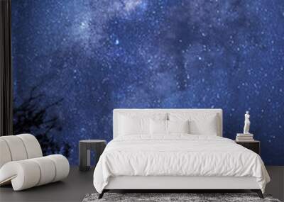 Via lactea 2 Wall mural