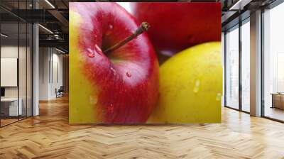 Delicious wet Apples Wall mural