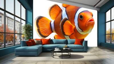 clown fish isolated on transparent background Wall mural