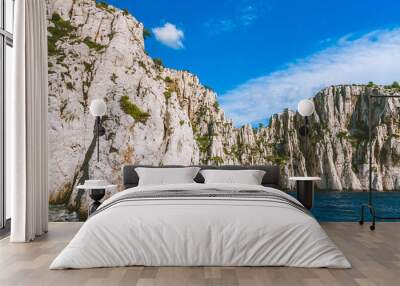 High white cliffs of Massif des Calanques covered with pine trees against blue sky in Cassis, France Wall mural