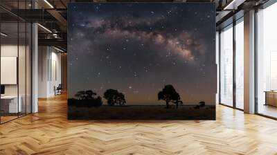 The constellation of Serpens with its winding pattern in the sky. Wall mural