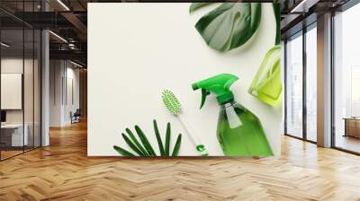 products for home cleaning on white background Wall mural