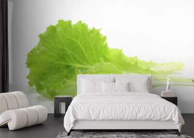 green leaves of gentilina salad Wall mural