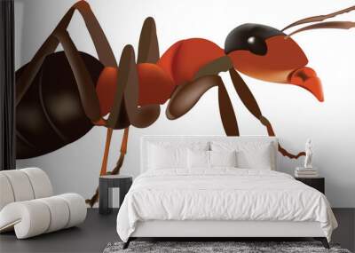 red ant white background red ant nature with white background Wall mural