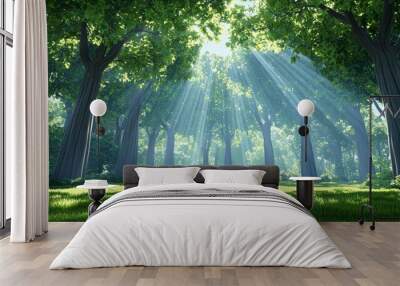 Tranquil, serene forest clearing with sunlight filtering through the trees, photorealistic, natural beauty Wall mural