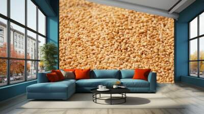 selective focus Indian golden Wheat (Gehu) background Wall mural