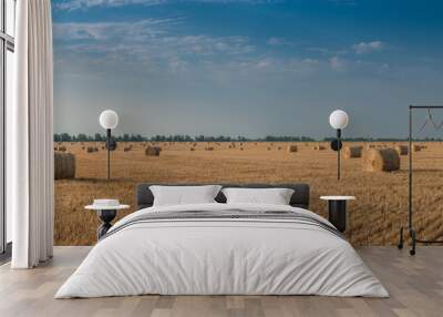 Agricultural landscape with haystacks Wall mural