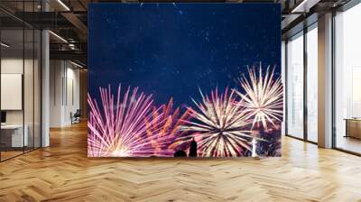 Friends looks holiday fireworks, for Christmas and New Year design, background and banner Wall mural