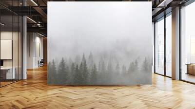 Mystic landscape with fog Wall mural