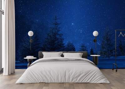 Night winter landscape and stars Wall mural